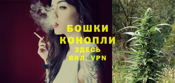 стафф Протвино