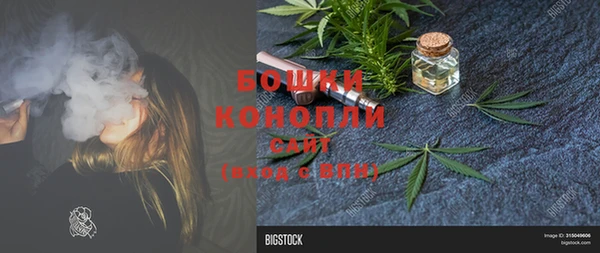 стафф Протвино